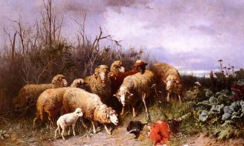 Schafe Eine Vogelscheuche Betrachtend
